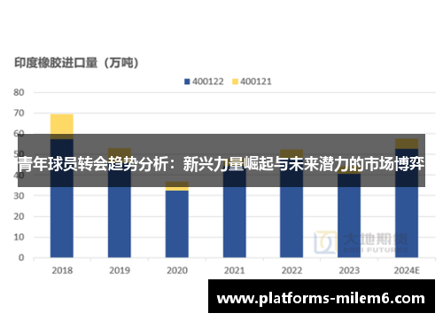 青年球员转会趋势分析：新兴力量崛起与未来潜力的市场博弈