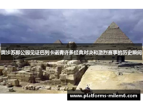 奥沙苏那公园见证巴列卡诺青许多经典对决和激烈赛事的历史瞬间