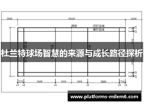 杜兰特球场智慧的来源与成长路径探析