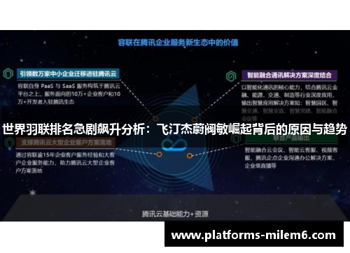 世界羽联排名急剧飙升分析：飞汀杰蔚阀敏崛起背后的原因与趋势