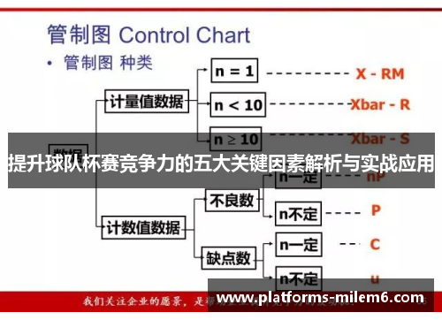 提升球队杯赛竞争力的五大关键因素解析与实战应用
