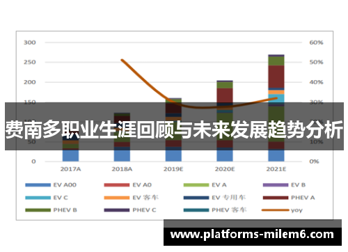 费南多职业生涯回顾与未来发展趋势分析