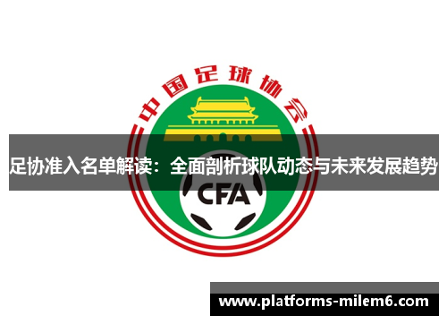 足协准入名单解读：全面剖析球队动态与未来发展趋势