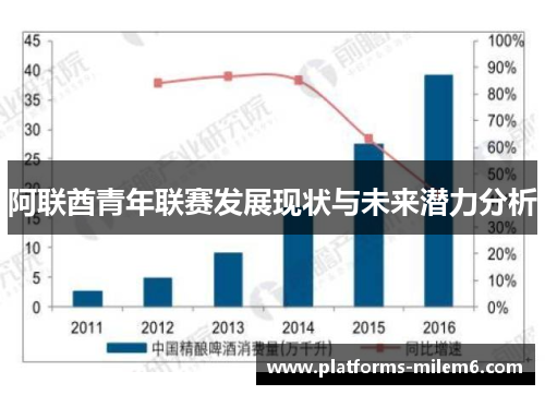 阿联酋青年联赛发展现状与未来潜力分析