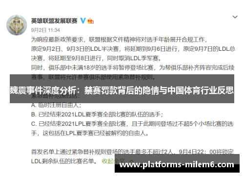 魏震事件深度分析：禁赛罚款背后的隐情与中国体育行业反思