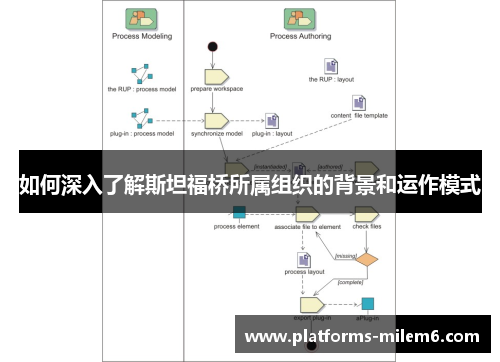 如何深入了解斯坦福桥所属组织的背景和运作模式